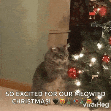 Kitty Claws Christmas Tree Cat Playing With Christmas Tree GIF