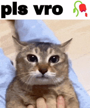 a cat is being held in someone 's arms with the word pls vro above it