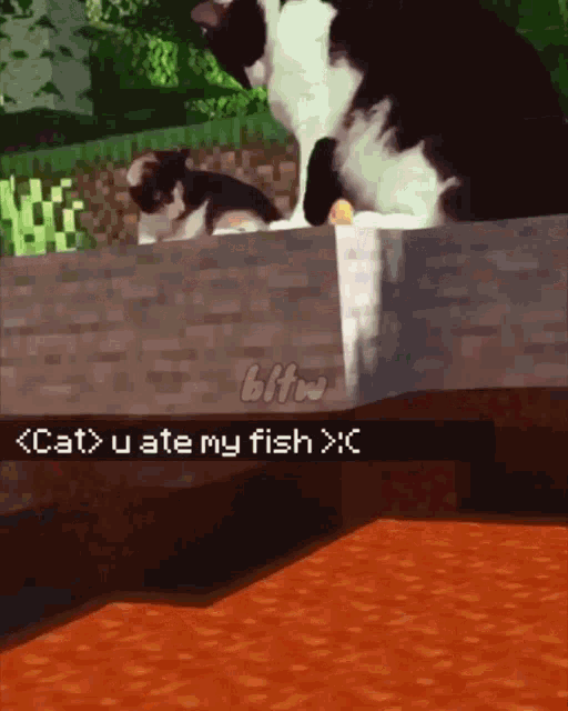 Minecraft Cat Lol Ali New World GIF