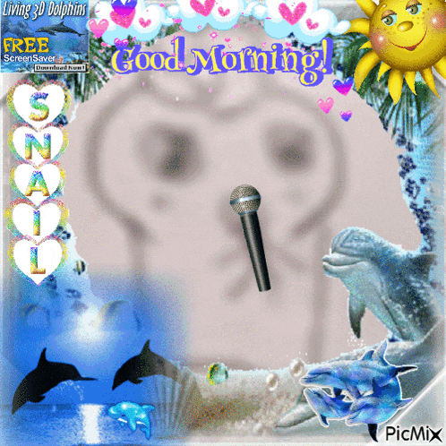 a picture of dolphins and a microphone with the words good morning