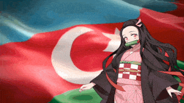 a girl in a kimono is standing in front of a flag