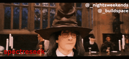 harry potter wearing a sorting hat with the words spectreseek on the bottom