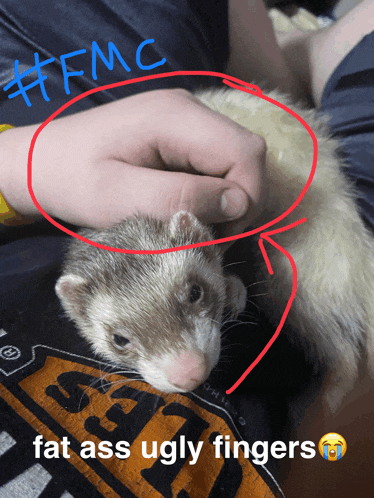 a person holding a ferret with the words fat ass ugly fingers on the bottom