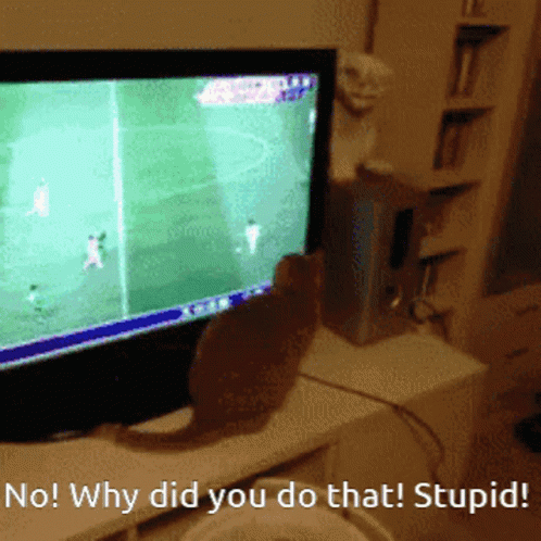 Cat Attacks Player Other Cat Got Jumpscared GIF - Cat Attacks Player Other Cat Got Jumpscared This Kitty Doesnt Like Tv GIFs