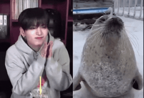a seal sitting next to a man with his hands together