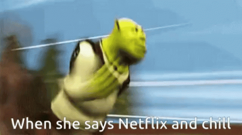 Shrek Netflix And Chill GIF - Shrek Netflix And Chill GIFs