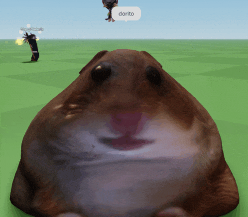 a hamster in a video game says dorito