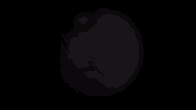 a logo for wildwolffury is shown on a dark background