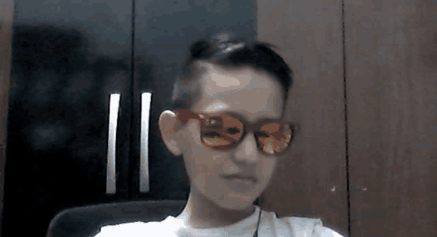 a young boy wearing a pair of sunglasses looks at the camera