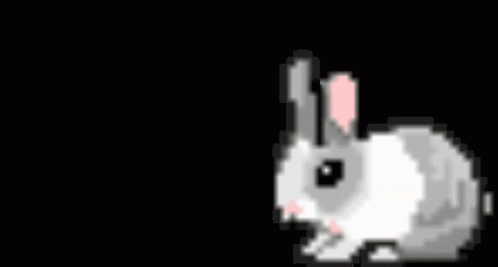 Bunny Rabbit GIF - Bunny Rabbit Hop GIFs