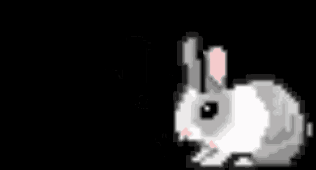 a pixel art of a rabbit with a black background .