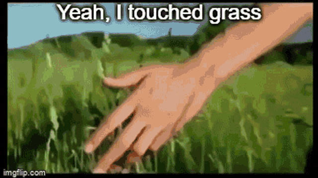 Grass Yeah I Touched Grass GIF - Grass Yeah I Touched Grass Touch GIFs