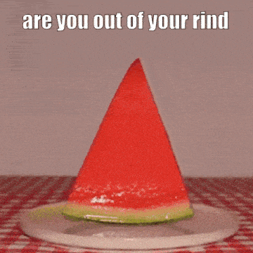 a cat is eating a slice of watermelon on a plate with the caption " are you out of your rind "