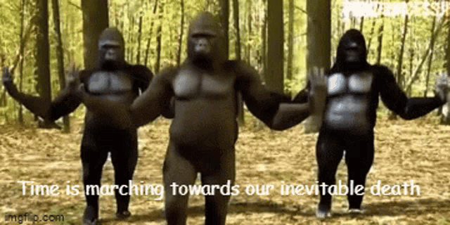 Gorilla Dance Gorilla GIF - Gorilla Dance Gorilla Gorilla Dancing GIFs