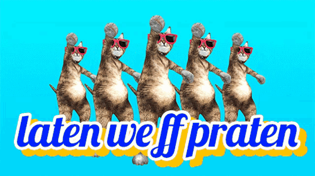 a group of cats wearing sunglasses are dancing in front of a blue background that says laten weff praten