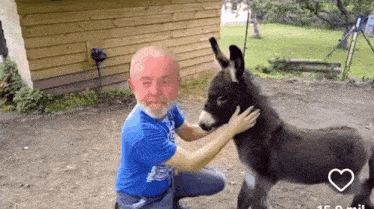 a man with a beard is petting a small donkey in a field .