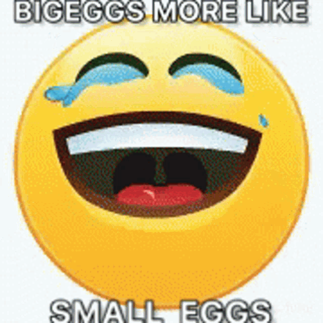 Bigeggs Berrie GIF - Bigeggs Eggs Berrie GIFs