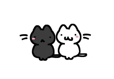 a black and white cat are sitting next to each other .