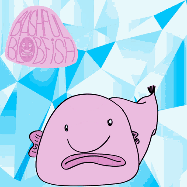 a drawing of a pink blobfish with the words bashful blobfish behind it