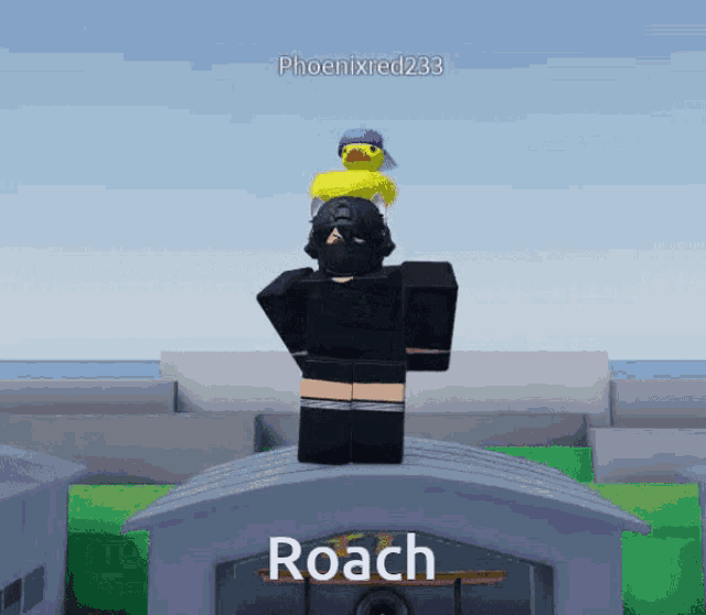 a person standing on top of a building with roach written on the top