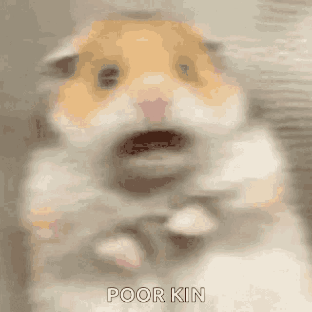 a blurry picture of a hamster with its mouth open and the words `` poor kin '' written on it .