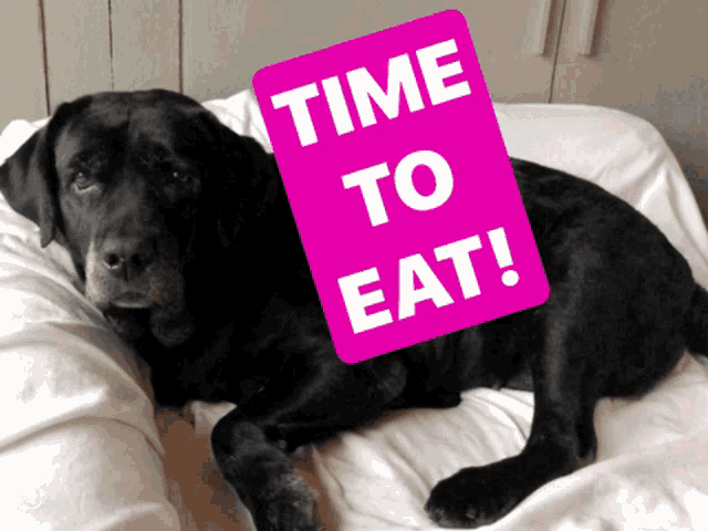 a black dog laying on a bed with a pink sign that says time to eat
