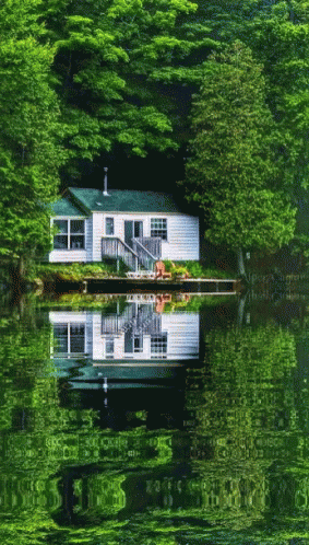 Home Lake GIF - Home Lake Reflection GIFs