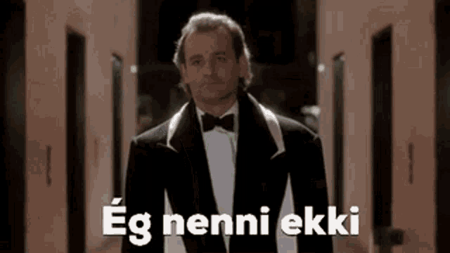 Ice Landic Eg Nenni Ekki GIF