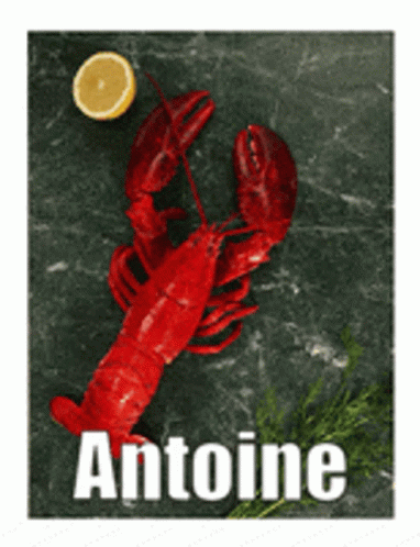 Nyantales Asmr Antoine GIF - Nyantales Asmr Antoine Lobster GIFs