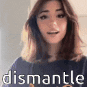 a close up of a woman 's face with the word dismantle written on it .