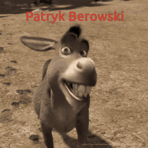 Patryk Berowski GIF - Patryk Berowski GIFs