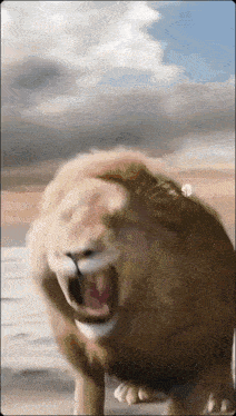a close up of a lion 's mouth with its mouth open
