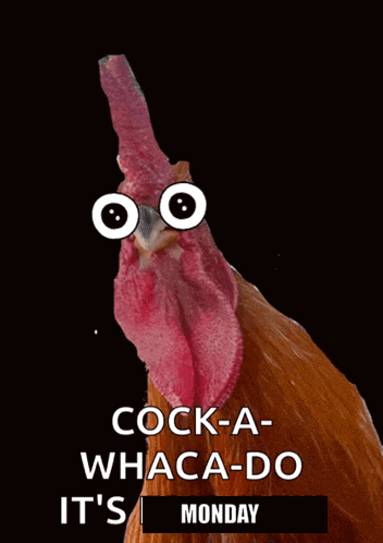 a rooster with googly eyes and the words cock-a whaca-do it 's monday on the bottom