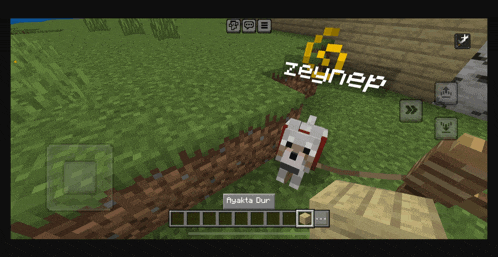 a screenshot of a minecraft game with the name zeynep on the screen