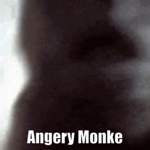 Anger Monke GIF - Anger Monke Monkey GIFs
