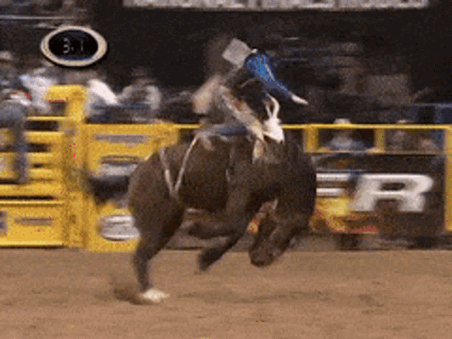 Rodeo GIF - Rodeo GIFs