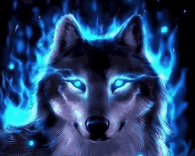 Wolf Blue Eyes GIF