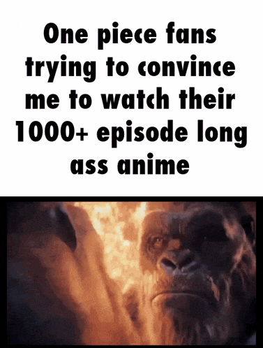 a picture of a gorilla with the words one piece fans trying to convince me to watch their 1000+ episode long ass anime .