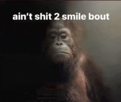 a picture of a gorilla with the words " ain 't shit 2 smile bout " below it