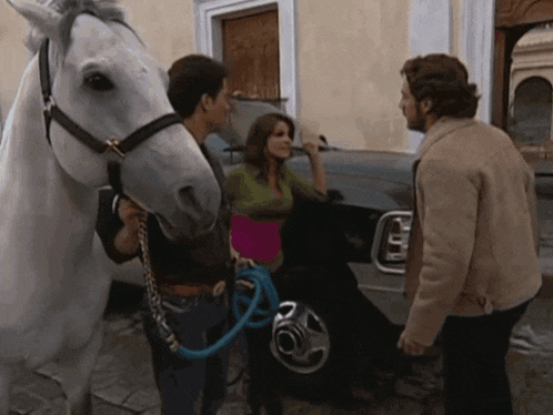 a man stands next to a white horse while a woman talks to him