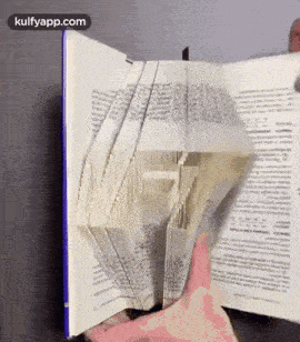 a person is holding a book that has been folded into a bottle of champagne .