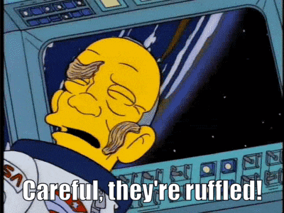 a cartoon character says " careful they 're ruffled " in front of a spaceship