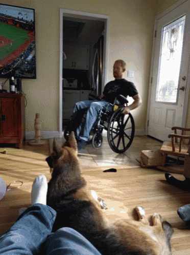a man in a wheelchair watches a baseball game on the television