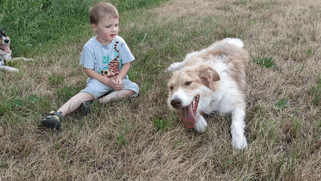a young boy wearing a shirt with a tiger on it sits in the grass with a dog