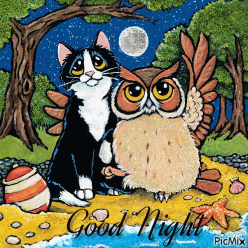 Good Night Cat GIF - Good Night Cat Owl GIFs