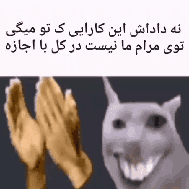 a dog is giving a high five to a person in a foreign language while they are praying .