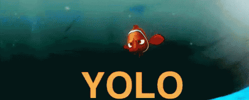 a clown fish is swimming in the ocean and the word yolo is above it