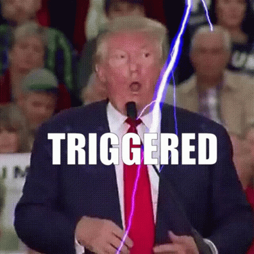 Donald Trump Trump GIF - Donald Trump Trump Triggered GIFs