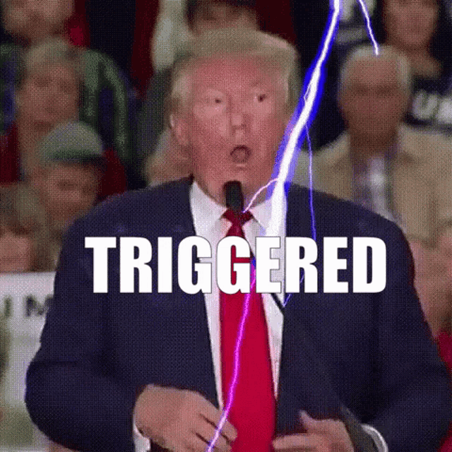 Donald Trump Trump GIF
