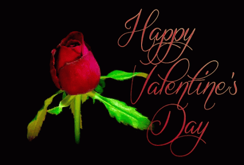 Happy Valentines Day Lovelove GIF - Happy Valentines Day Valentines Day Lovelove GIFs